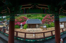 풍경갤러리 - 옥구향교