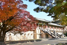 풍경갤러리 - 토함산의 가을색