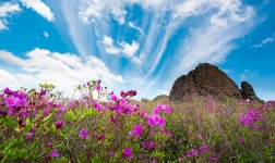 풍경갤러리 - 초암산