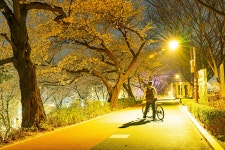 풍경갤러리 - 뚝방에서