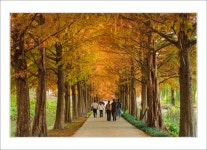 풍경갤러리 - 메타길