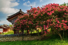 풍경갤러리 - 남계서원