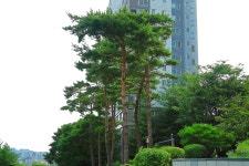 풍경갤러리 - 레미안 성하