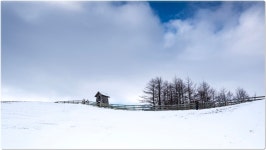 풍경갤러리 - 양떼목장