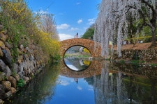 풍경갤러리 - 만년교