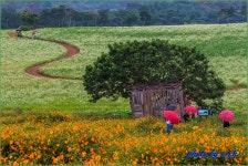 풍경갤러리 - 비오는날의 외출