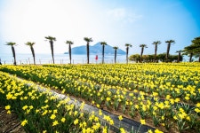 풍경갤러리 - 공곶이