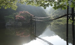 풍경갤러리 -  일일레저타운 小景  풍경갤러리 - &quot; 일일레저타운 小景 &quot;