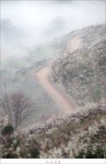풍경갤러리 - 매화촌 산책로
