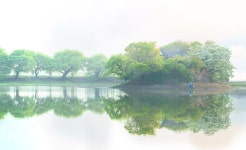 풍경갤러리 - 위양지의 낭만