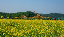 풍경갤러리 - 낙동강변