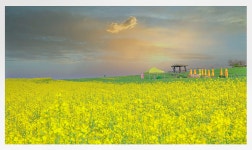 풍경갤러리 - 학원농장
