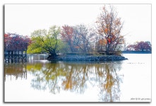 풍경갤러리 - 진해 내수면 환경생태공원