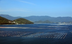 풍경갤러리 - 바다가 삶의 터전.