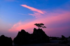 풍경갤러리 - 지경리 여명