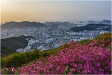 풍경갤러리 - 백양에서~