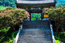 풍경갤러리 - 표 충 사