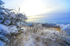 풍경갤러리 - 무등산의새벽빛