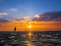 풍경갤러리 - 다대포노을