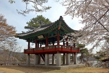 풍경갤러리 - 민락정의 봄