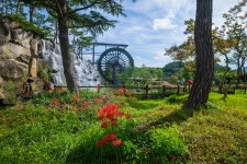 풍경갤러리 - 불갑사 천년방아