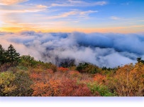 풍경갤러리 - 수줍은 용아