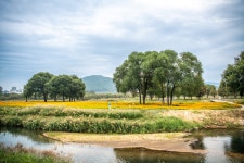 풍경갤러리 - 가을길