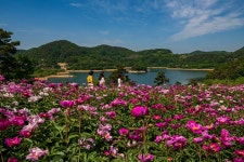 풍경갤러리 - 옥정호