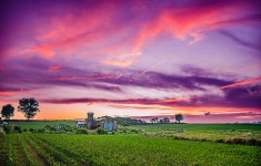 풍경갤러리 - 안성목장