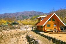 풍경갤러리 - 산수유와 지리산
