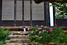 풍경갤러리 - 뜰