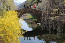 풍경갤러리 - 만년교의 가족들..