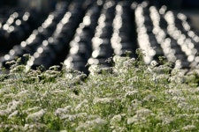 풍경갤러리 - 빛의 하모니