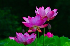 풍경갤러리 - 세자매