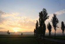 풍경갤러리 - 아침 들녘