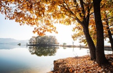 풍경갤러리 - 秋景