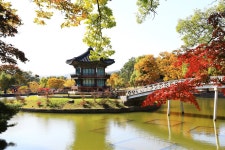 풍경갤러리 - 경복궁 향정원