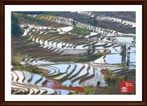 풍경갤러리 - 추억의 원양제전