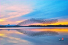 풍경갤러리 - 노을빛 속의 감동의 순간