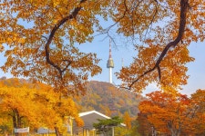풍경갤러리 - 서울 남산 서울타워
