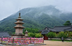 풍경갤러리 - 산사의 아침
