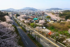 풍경갤러리 - 진해 여좌동.