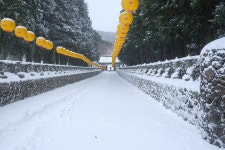 풍경갤러리 - 관음사 가는 길
