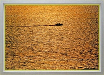 풍경갤러리 - 아름다운황금물결