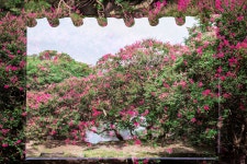 풍경갤러리 - 정자에서 바라본 정원