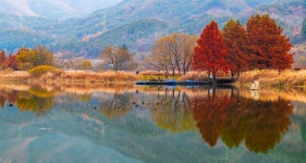 풍경갤러리 - 주천에서...