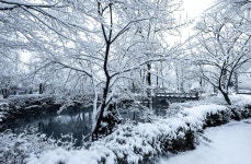 풍경갤러리 - 황지연못