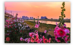 풍경갤러리 - 강변의 아침