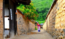 풍경갤러리 - 남평 문씨 본리 세거지