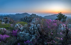 풍경갤러리 - 화무 십일홍(花無十日紅)